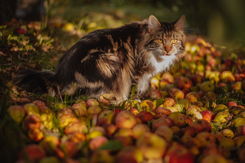 Photograph by Анисимова Ольга Леонидовна