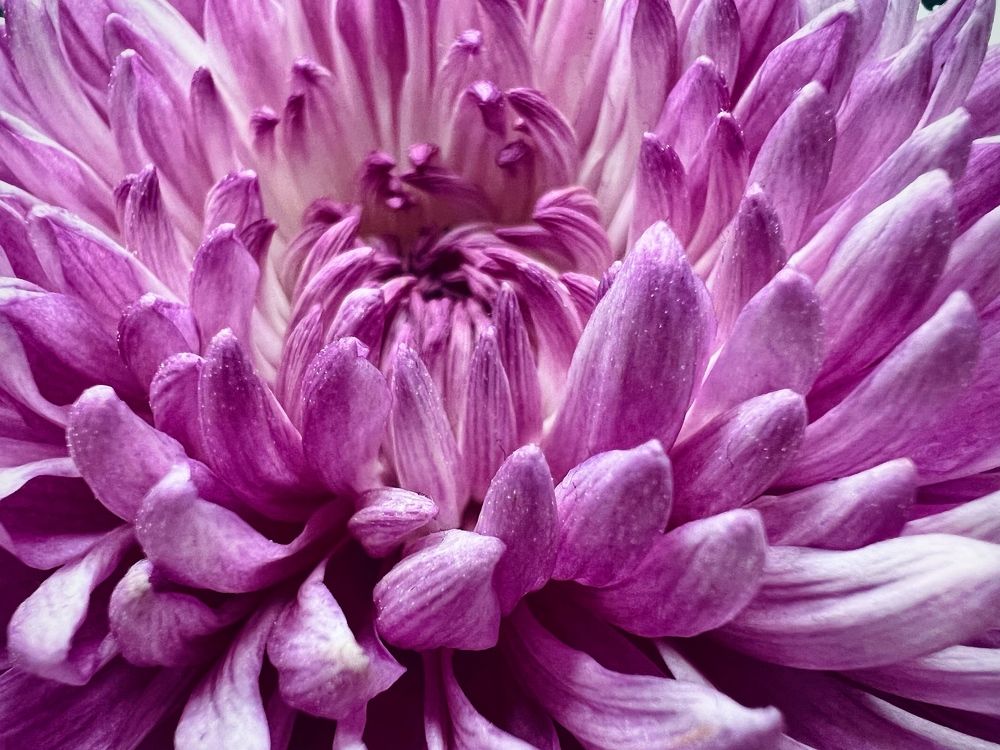 Photograph by Alena Kochergina