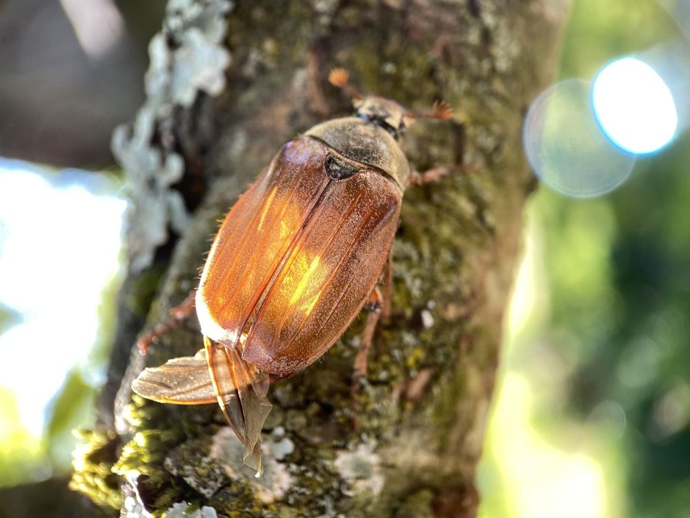 Photograph by Екатерина Бердутина