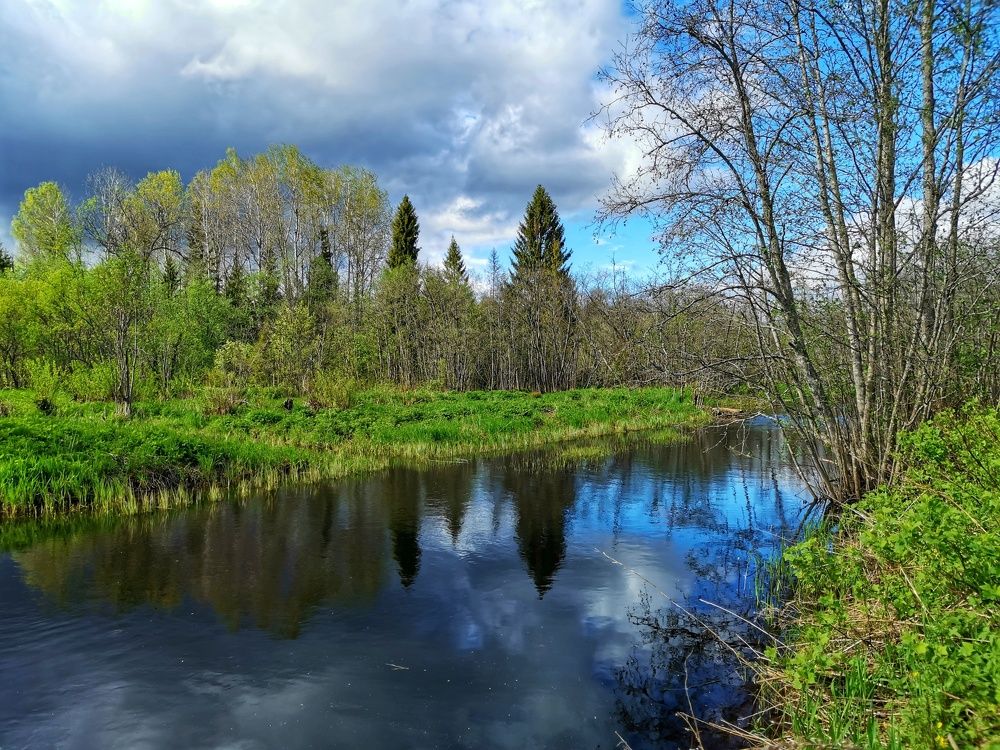 Фотография автора Андрей Шестаков