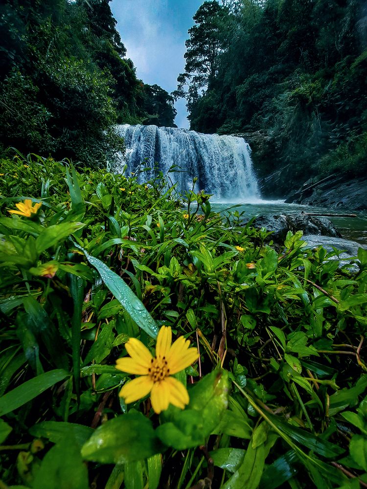 Photograph by Kalpa Aponsu