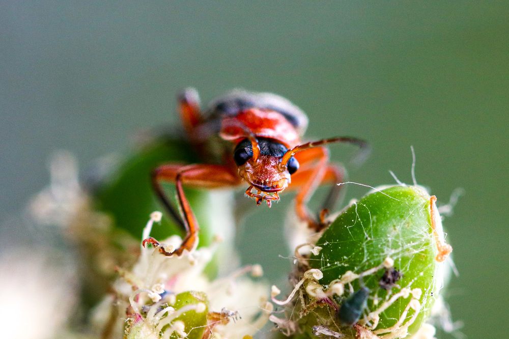 Photograph by Людмила Аксенова