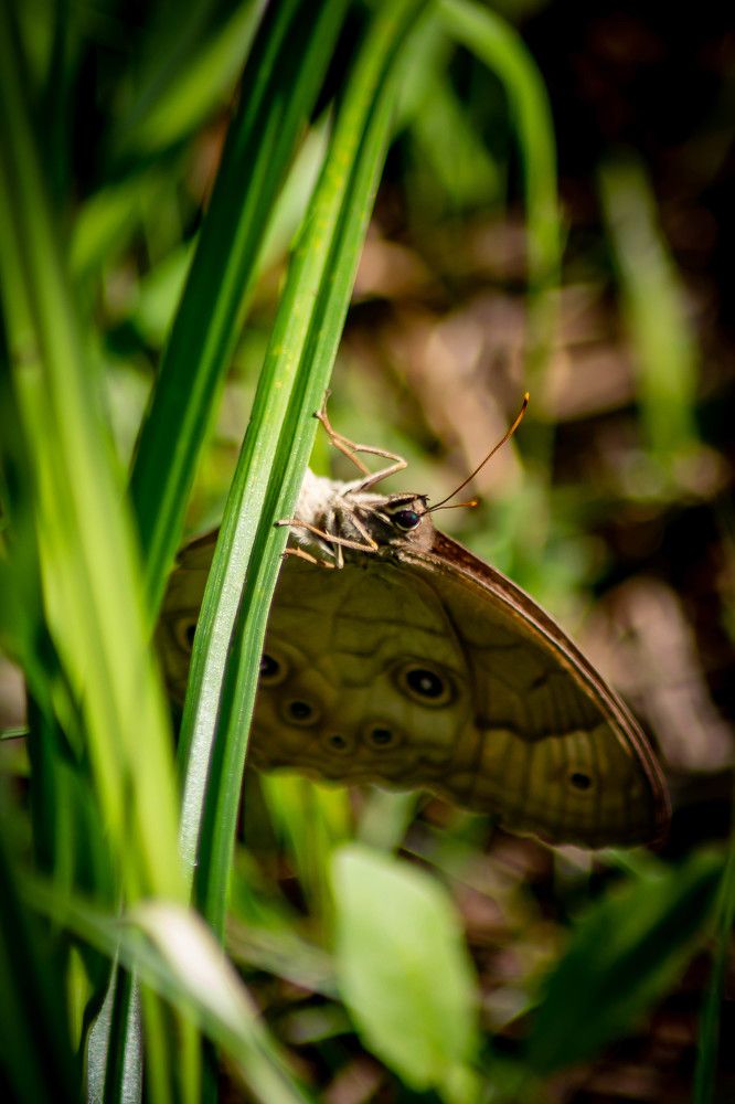 Photograph by Алексей