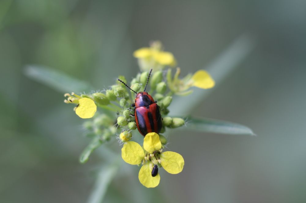 Photograph by Марина Савченко