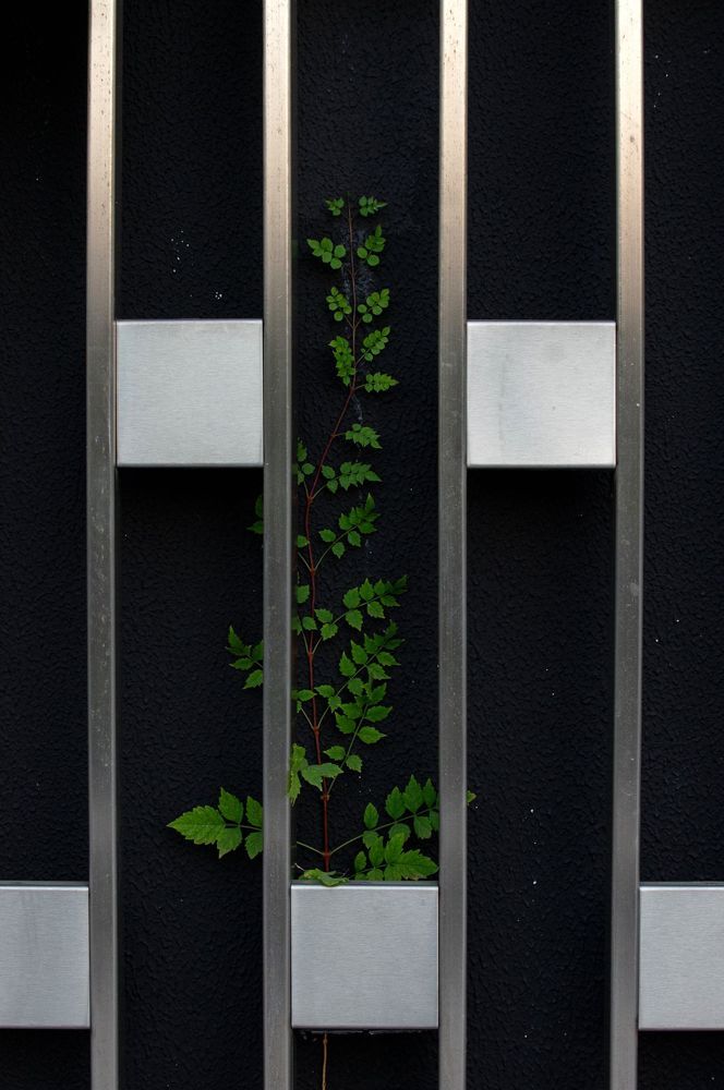 Фотография автора Olga Sarieva