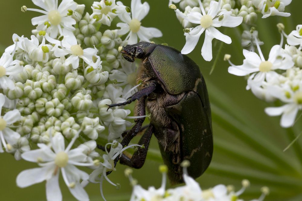 Photograph by Олег Тетерин