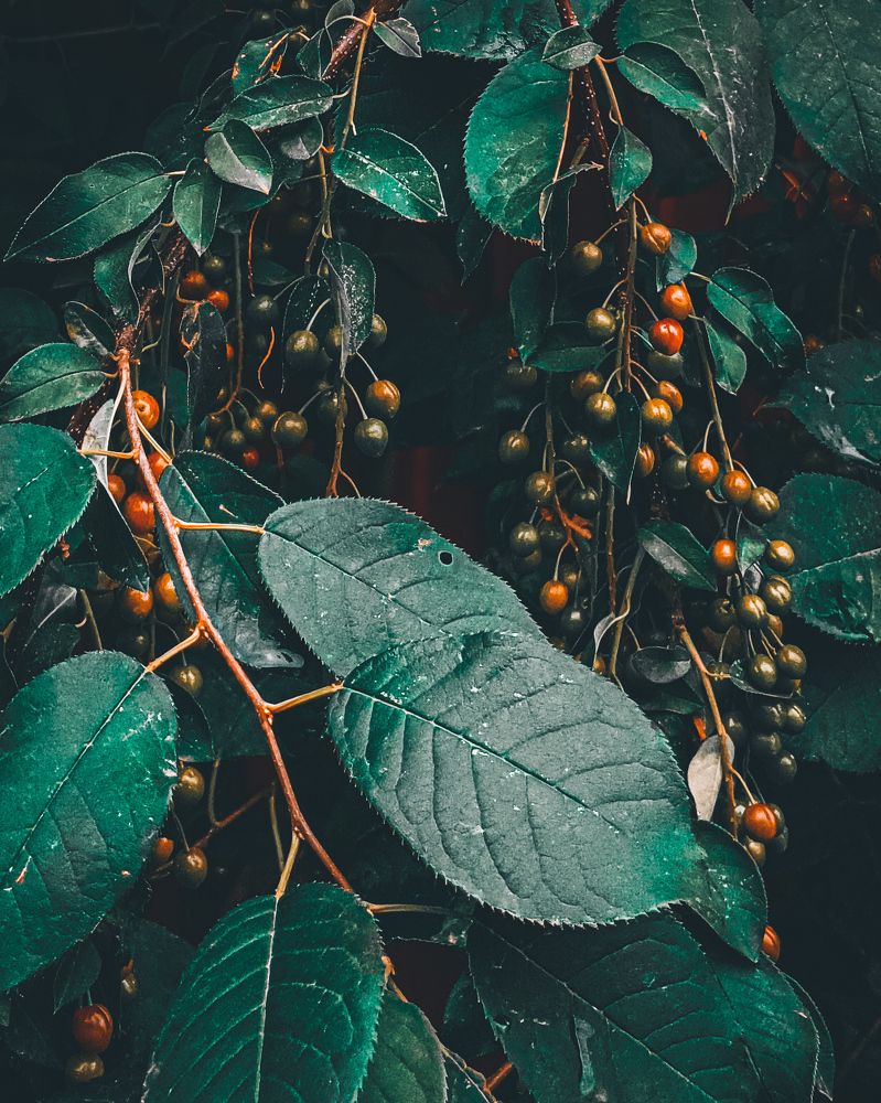 Photograph by Хоменко Евгения