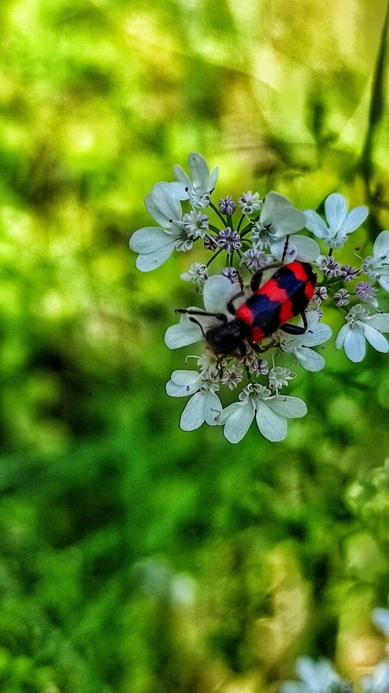 Photograph by Наталья Рау