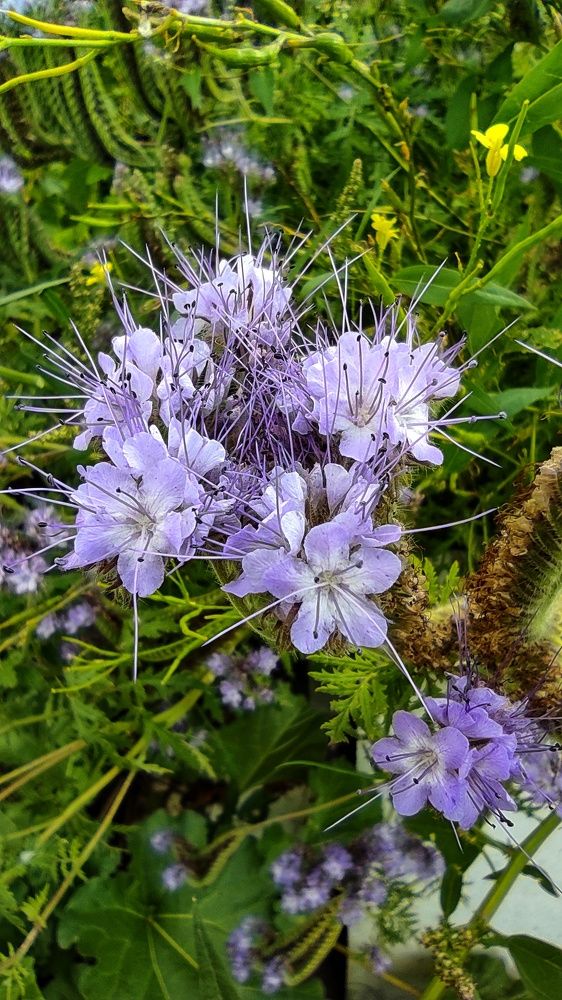 Photograph by Наталья Рау