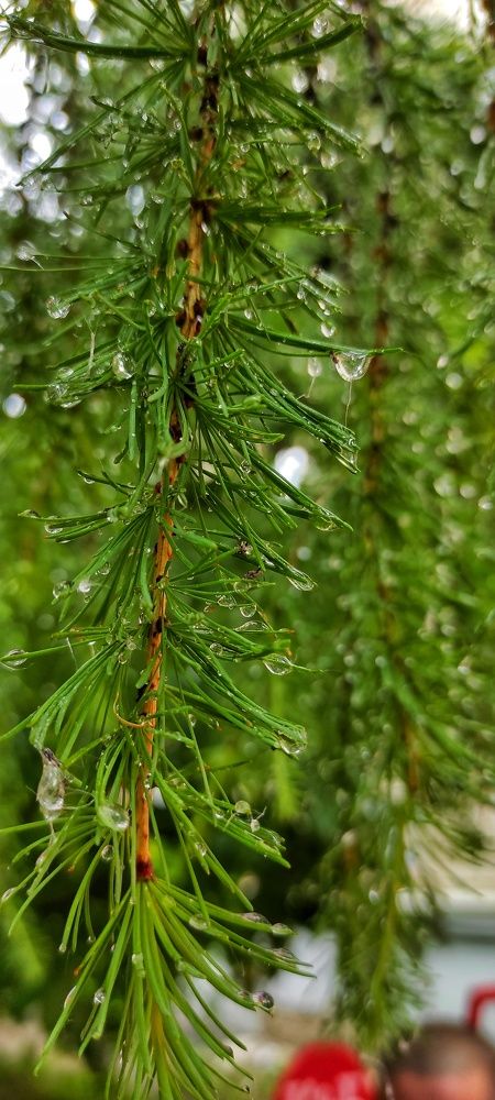 Photograph by Наталья Рау