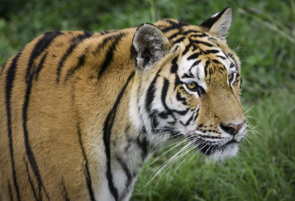 Photograph by Борис Пирог