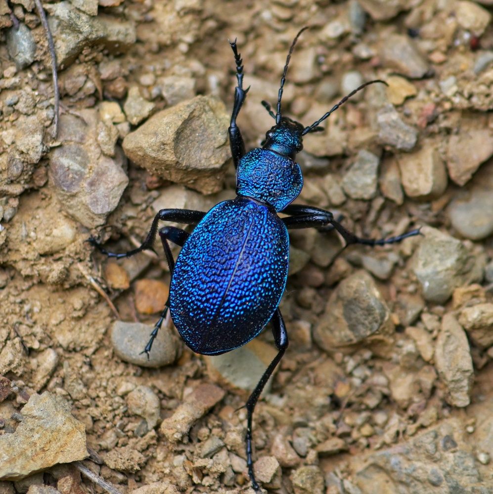 Photograph by Дмитрий Батагов
