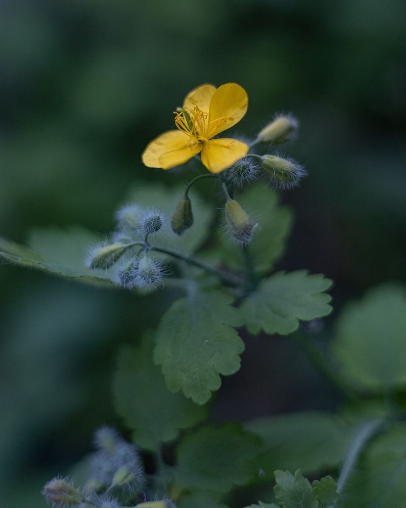 Photograph by Ольга Холм