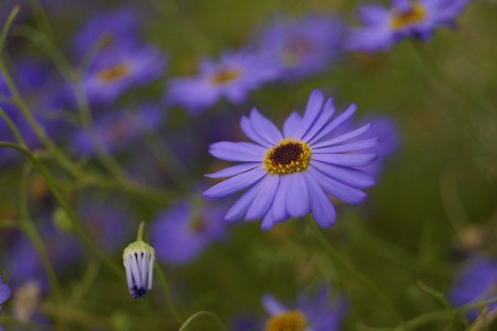 Photograph by Наталья Викторовна