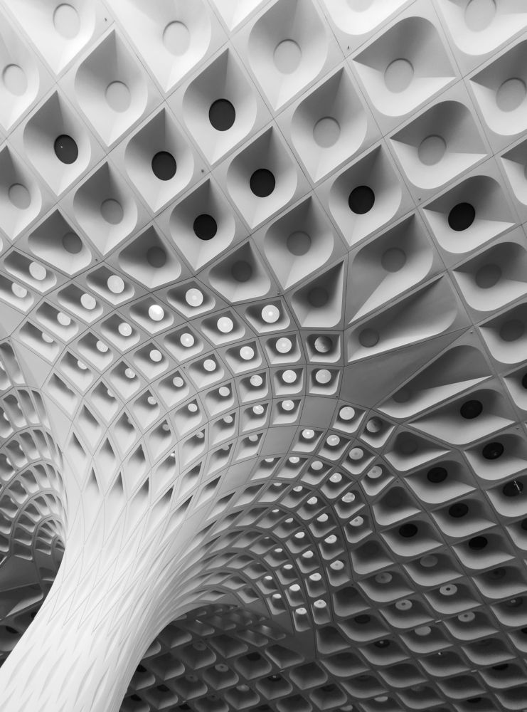 Photograph by Deependra Singh Rajput