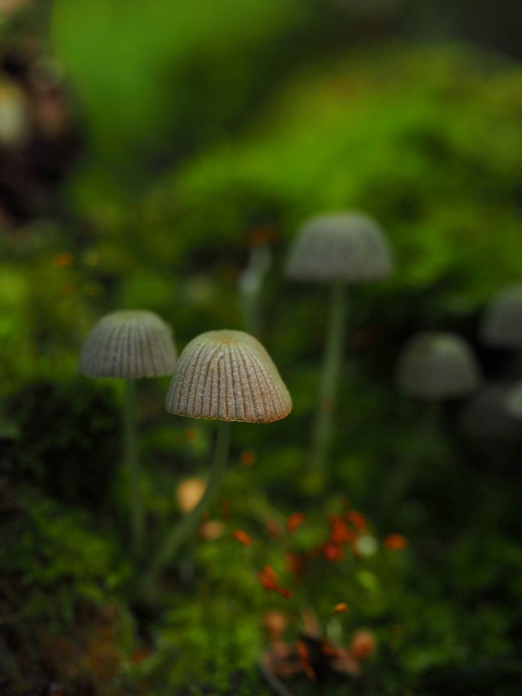 Photograph by Алексей Жарков