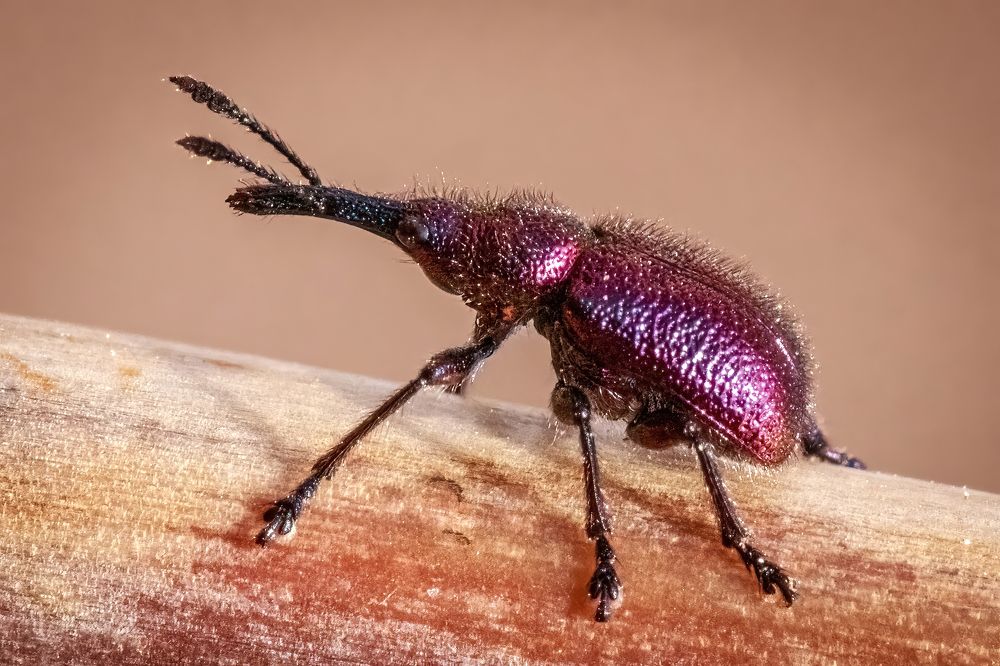 Photograph by Максимов Алексей