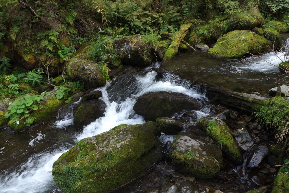 Photograph by Наталья БАЛАБАЕВА