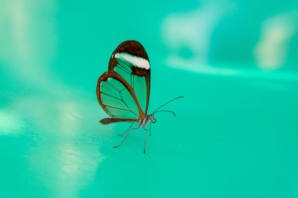 Photograph by James Graf