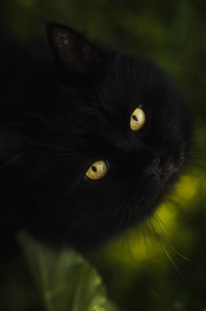 Photograph by Юлия Галлямова