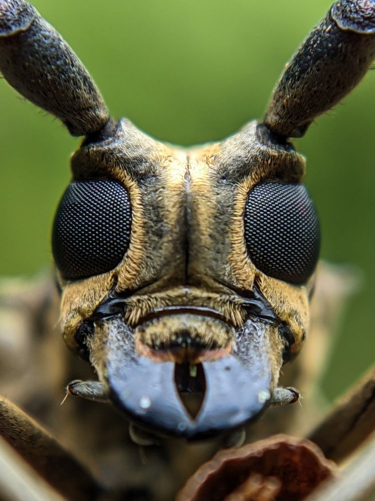 Photograph by Ajeesh A