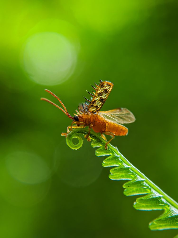 Photograph by Ajeesh A