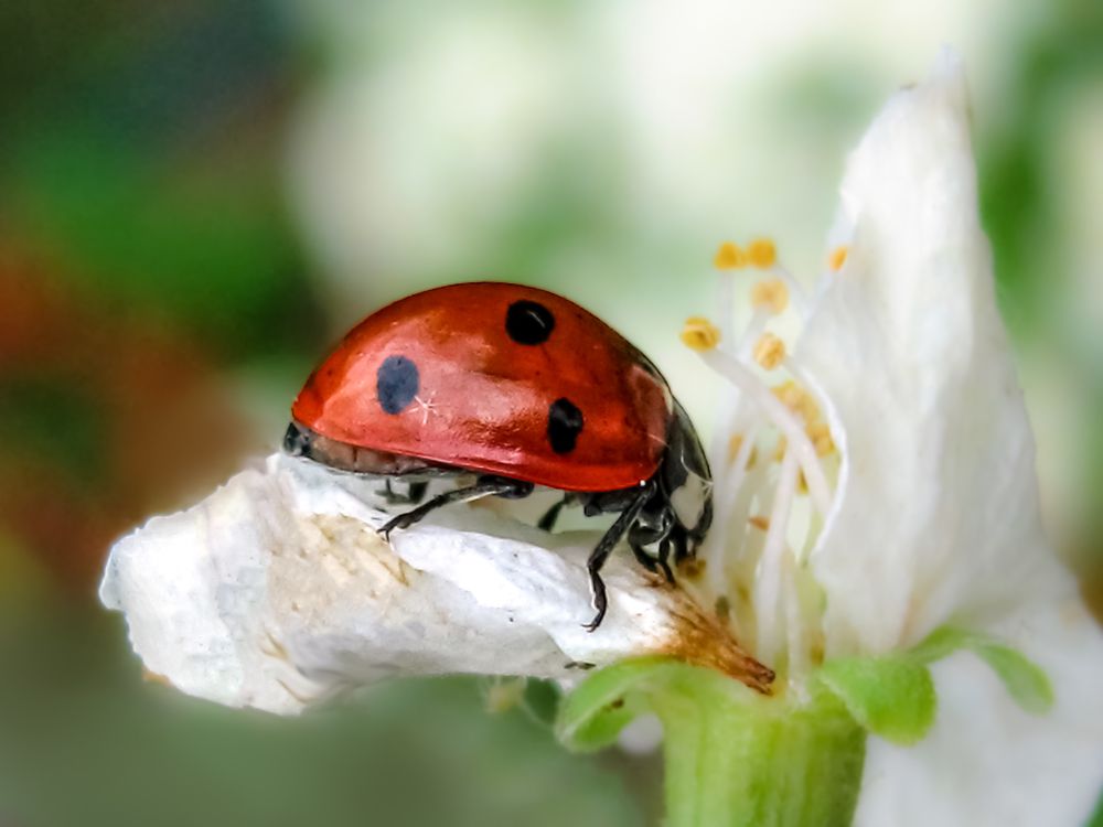 Photograph by Margarita