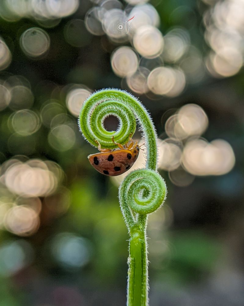 Photograph by Ajeesh A