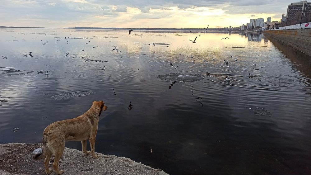 Photograph by Новикова Елена Сергеевна