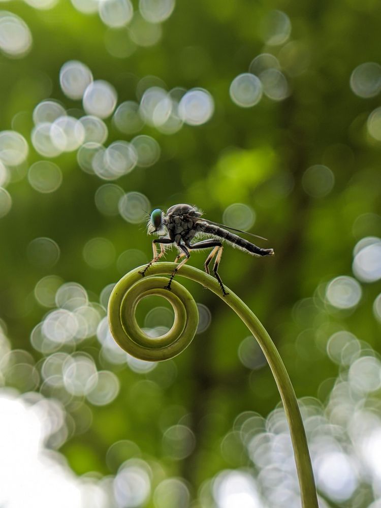 Photograph by Ajeesh A