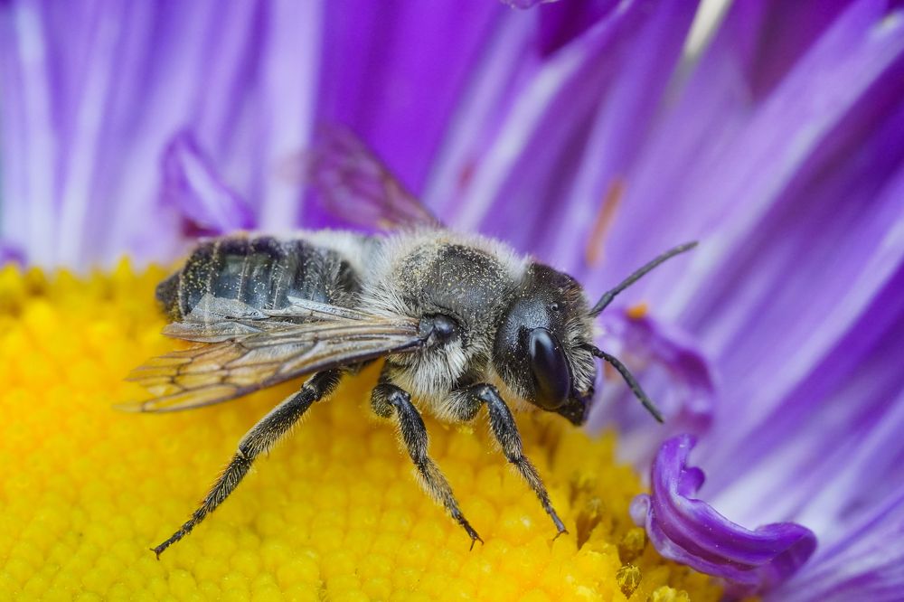 Photograph by Высотских Владимир