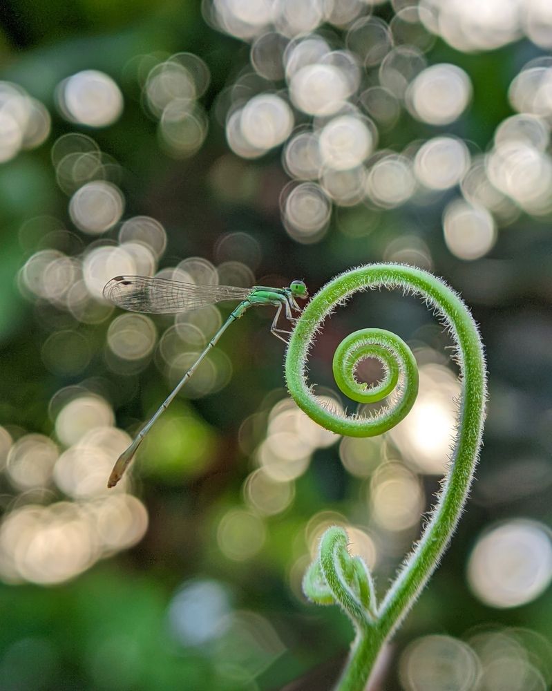 Photograph by Ajeesh A