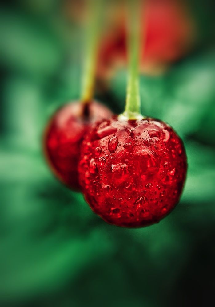 Photograph by Ольга Веселова