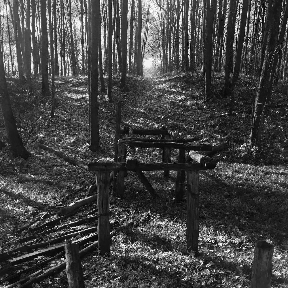 Photograph by Мария Фомичева