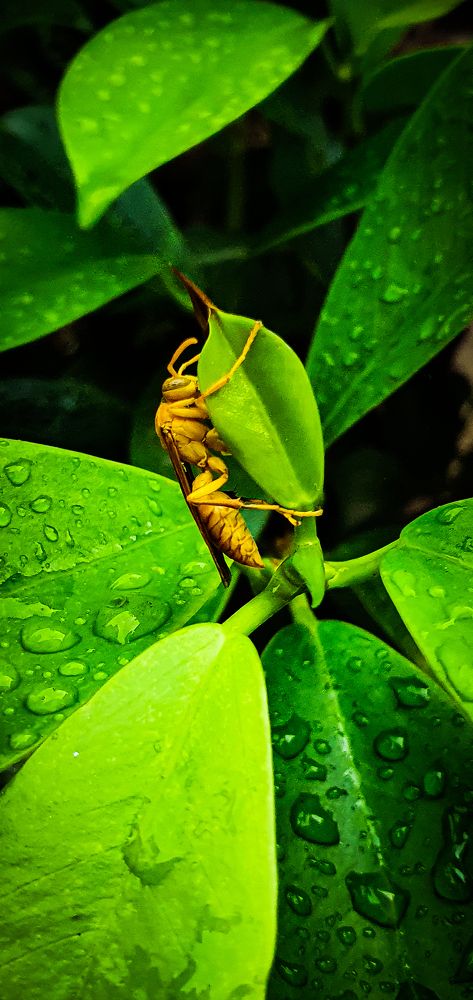 Photograph by bhardwaj vipin