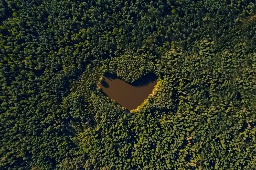 Фотография автора Александр Лукин