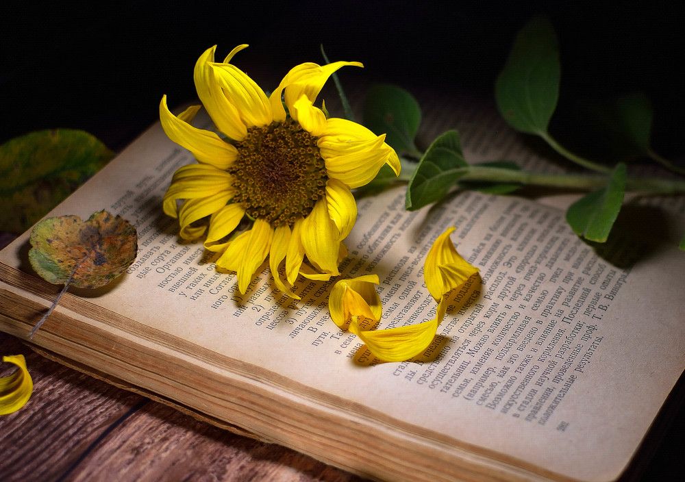 Photograph by Александр Ниткин