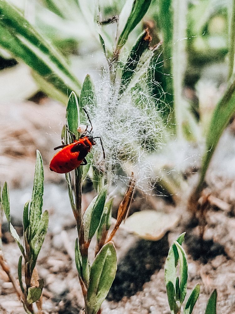 Photograph by Liudmila Kirillova