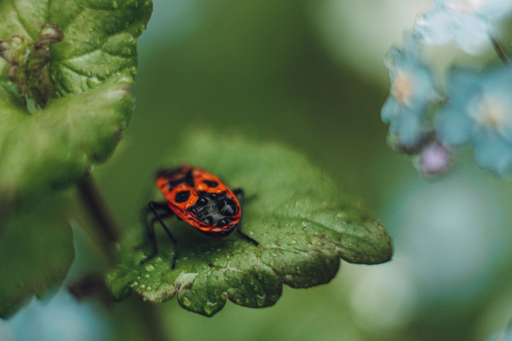 Photograph by Liudmila Kirillova