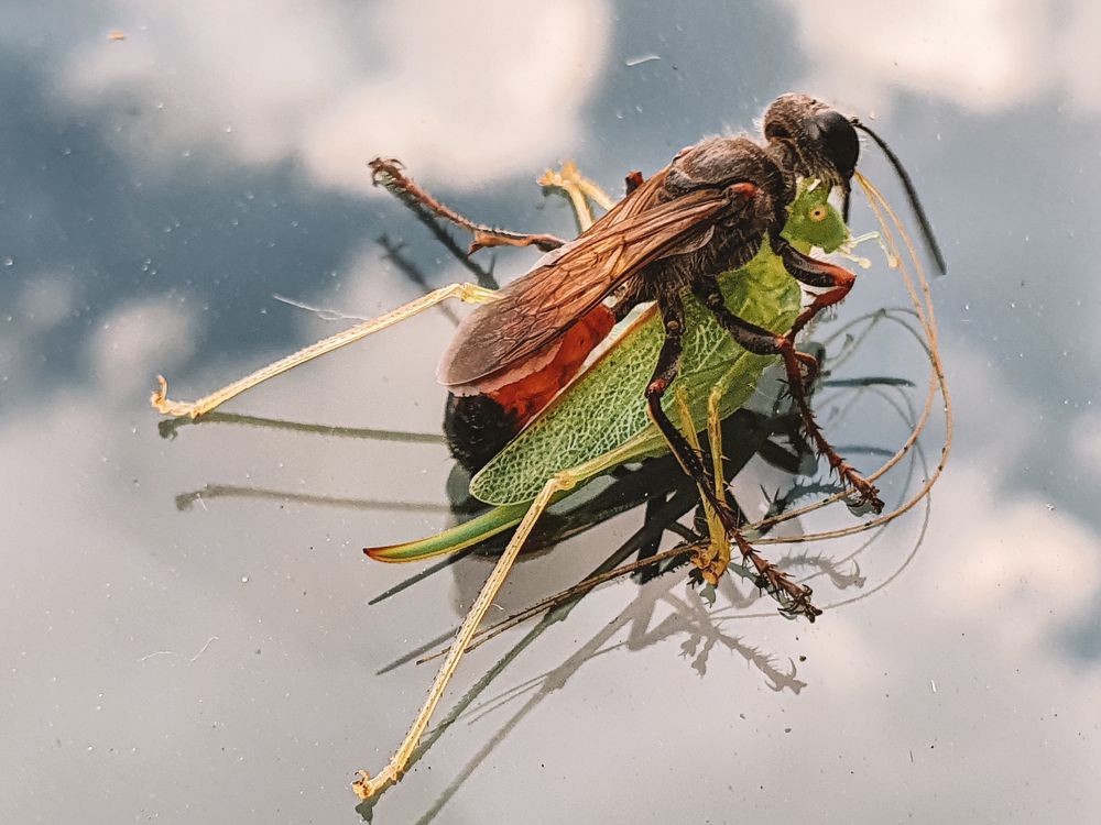 Photograph by Liudmila Kirillova