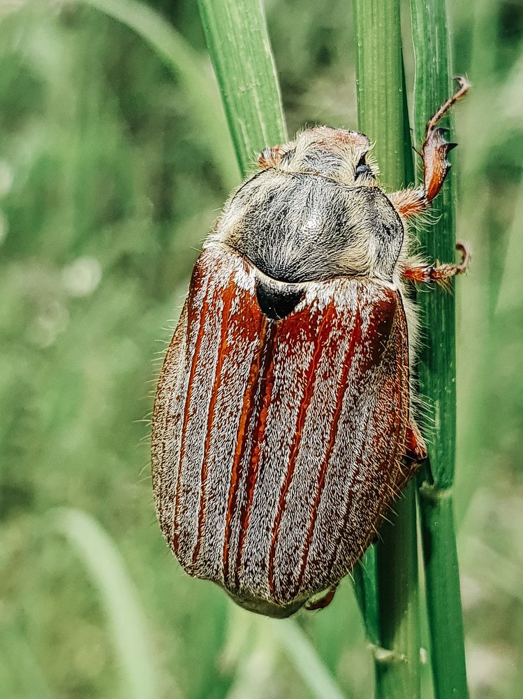 Photograph by Liudmila Kirillova