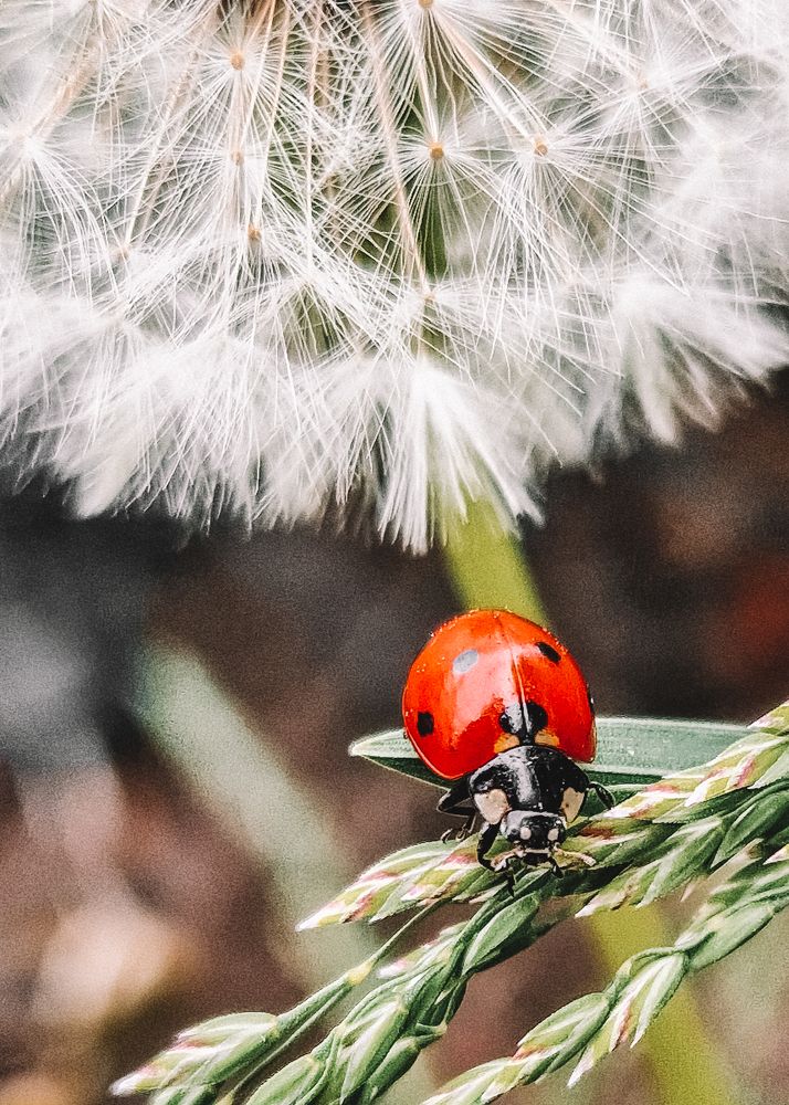 Photograph by Liudmila Kirillova