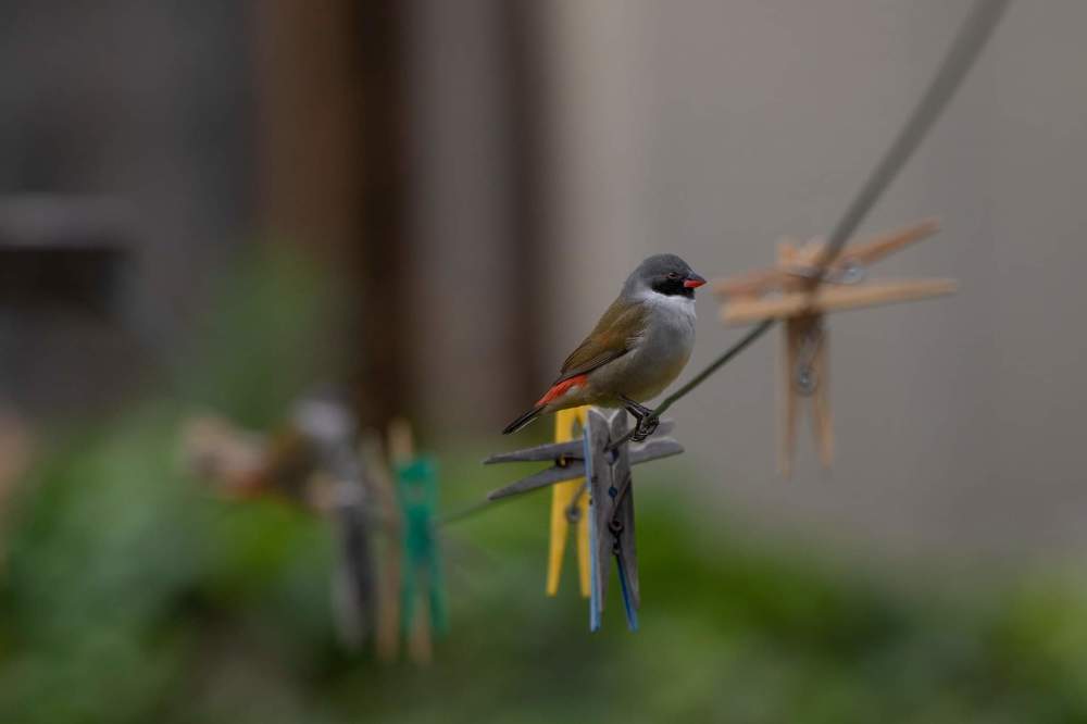 Фотография автора Deon Oosthuizen