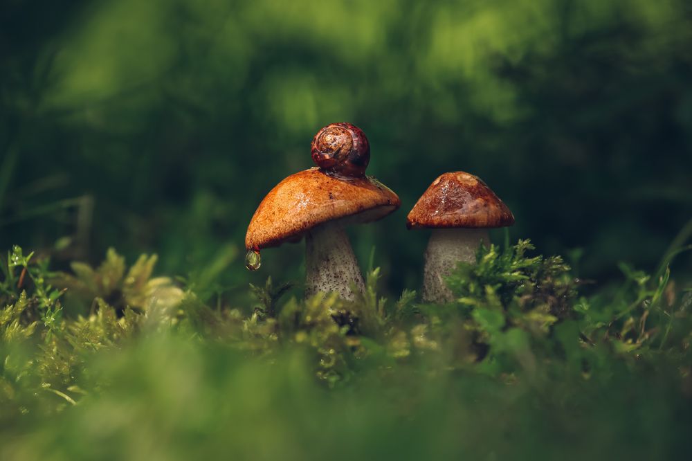 Photograph by Светлана Воскресенская