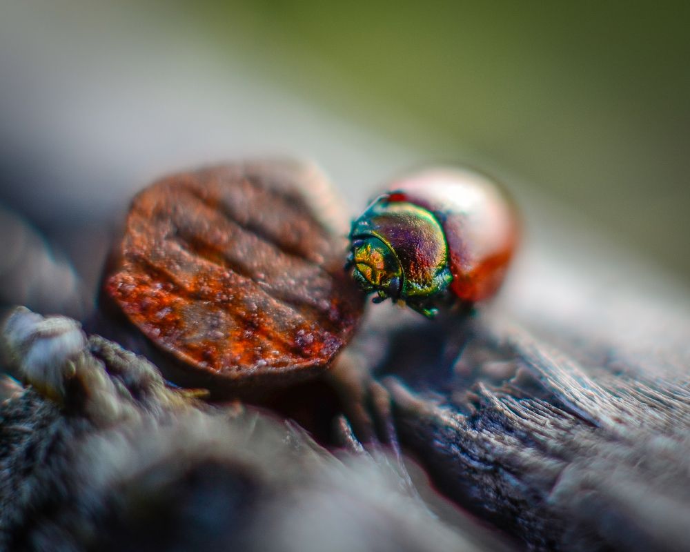 Photograph by Глухарев Сергей