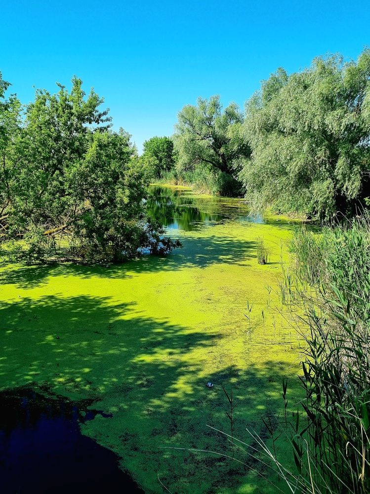 Photograph by Ирина Герлин