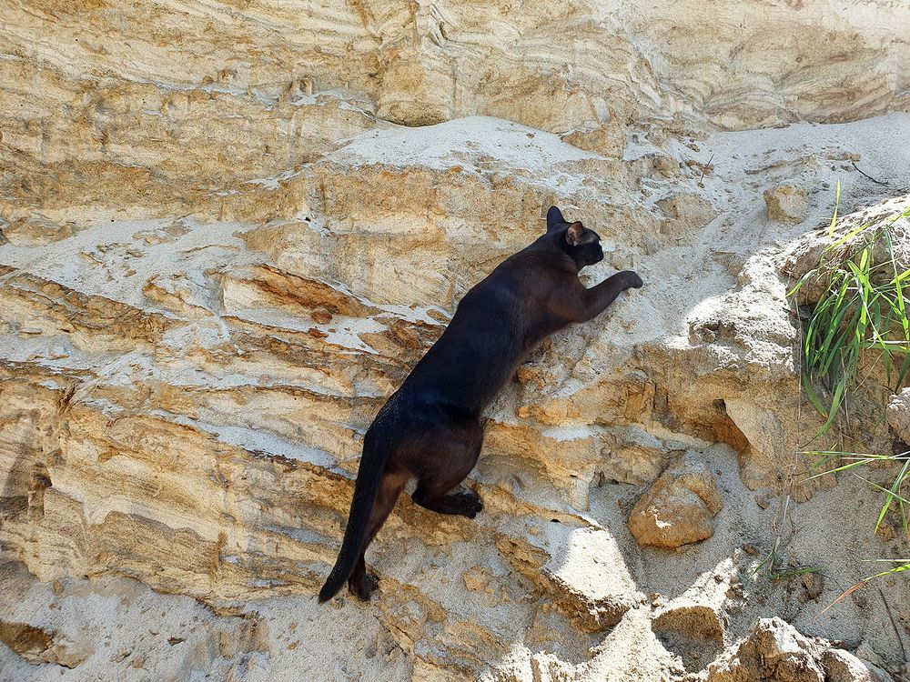 Фотография автора Надежда Лисицына