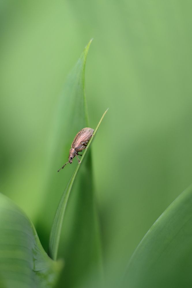 Photograph by Воинкова Ирина