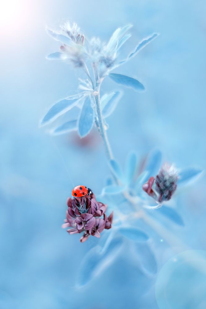 Photograph by Воинкова Ирина