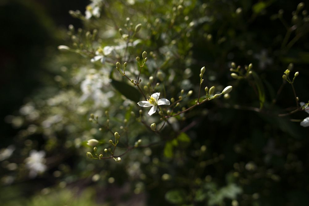 Photograph by Мария Мальцева